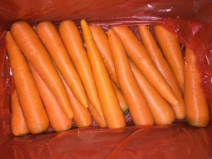 <span class=keywords><strong>2025</strong></span> cà rốt tươi S M L 2L - Product Image 5