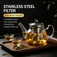 Théière en verre pour la cuisine à domicile avec infuseur en acier inoxydable, capacité multiple, accessoire minimaliste pour la préparation du thé