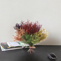 Fleurs séchées naturelles de Limonium Safora (Misty) préservées, avec un processus d'absorption de couleur longue durée de 3 à 5 ans, pour la décoration de la maison et de mariages