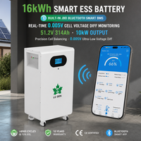 Batterie LiFePO4 16 kWh 51,2 V 314 Ah Garantie 10 ans Haute Capacité Stock Local UE Alimentation Solaire de Secours pour Grandes Familles