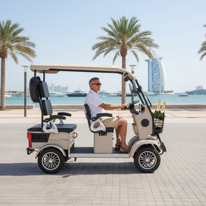 Quadricycle électrique BRT Smart Luxury Design, longue portée, haute vitesse, OEM, écologique, batterie 60V, Chine, 4 roues, 800W, 4 places - Product Image 3