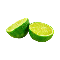 Approvisionnement en gros de citrons verts 100 % naturels, peau verte, 100 kg MOQ, durée de conservation de 4 à 5 semaines, fournisseur vietnamien garantissant la qualité et la fraîcheur