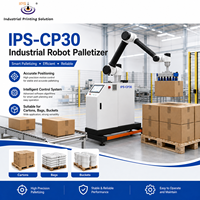 Robot de palettisation haute efficacité IPS-CP30, robot de palettisation de cartons, machine de palettisation, automatisation de la fin de ligne