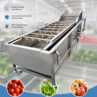 Hogedruk fruit- en groente ozonbelwasmachine voor aardappel, sla en bladgroenten met transportband