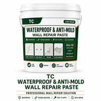 Pâte de réparation murale imperméable et anti-moisissure TC pour fissures, trous, peinture qui se décolle et réparation multi-surfaces des murs intérieurs
