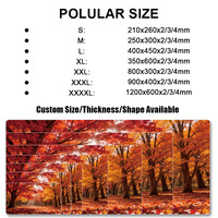 Custom Mouse Pad Game Mat High Quality Large Gaming Mouse Pad Computer Hardware Software Office Home Use