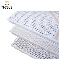Paneles Acústicos para Techo, Completamente Perforados, de Metal con Recubrimiento en Polvo, Aluminio, Sistema de Clip, 60x60, Plafón Acústico
