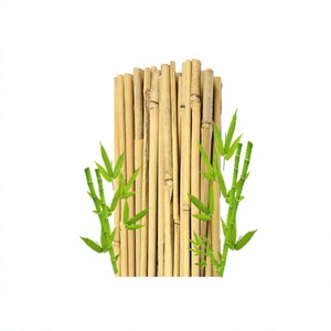 Vietnamese Wholesale Bamboo Branch Stick for <b>Garden</b> Flower Support High Quality Natural Bamboo Color 100% Raw Material - Product Image 4