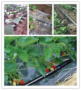 Materiale plastico e 2l/h 4l/h 8l/h Flusso tasso di nastro a goccia tubo di <span class=keywords><strong>irrigazione</strong></span> - Product Image 6