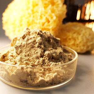 하이 퀄리티 트레멜라 추출물 10:1-100:1 수용성 트레멜라 분말 트레멜라 다당류 분말 30%-80% - Product Image 1