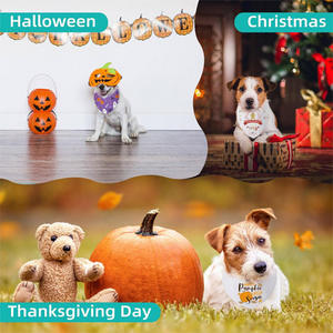 Pañuelo Triangular de Algodón Sólido Premium Ecológico, Color Personalizado S/M/L, Diseño Personalizado, Regalo de Cumpleaños/Fiesta - Product Image 3