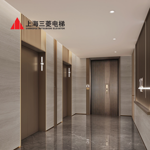 Ascenseur à commande AC à prix abordable avec décoration gravée miroir pour maison, villa, hôtel – Ascenseurs à prix compétitif - Product Image 4