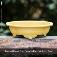Pot de fleurs en résine, design minimaliste rustique et épuré, à trois pieds, en forme de lotus, bassin peu profond, contrôle des racines, grand format pour jardin et maison