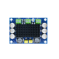 Carte d'amplificateur audio XH-M542 TPA3116 100W, DC 12V 24V, TPA3116DA, carte d'amplificateur audio numérique monocanal, module d'amplificateur haute puissance