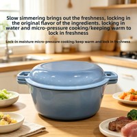 Casserole en fonte émaillée, faitout 2-en-1 avec couvercle, antiadhésif, résistant à la chaleur, pour 3 à 6 personnes, compatible induction et four