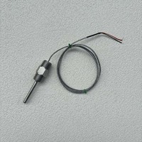 Sensor de temperatura personalizable de acero inoxidable varilla de sonda de termopar tipo K con cable para vapor de caldera OEM ODM compatible con IP65
