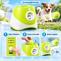 Lanceur automatique de balles pour animaux de compagnie, jouet interactif pour animaux de compagnie avec balles de tennis, accessoires pour animaux de compagnie, machine à lancer des balles pour chiens