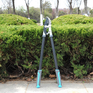 Tijeras de Podar Dobles de Acero al Carbono de Alta Resistencia, 210 mm, Diámetro de Corte de 20-30 mm, Estructura de Mariposa - Product Image 1