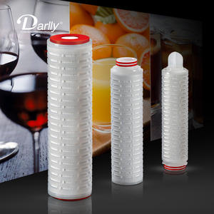 Pes şırınga filtresi 0.22um 20 inç Pes kıvrımlı filtre kartuşu 100% bütünlük <span class=keywords><strong>test</strong></span> edildi - Product Image 6