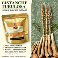 Capsules d'extrait de Cistanche Tubulosa 50% Phytoglycosides 15% Échinacoside 6% Acteoside Cozy Smooth Complément Alimentaire Améliorant l'Immunité OEM