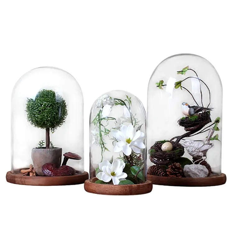 New Design Wood Microlandscape Glass Cover With Foot Wooden Glass Dome Wood Base