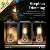 Lampe à pétrole vintage ELETREE, haut-parleur sans fil Bluetooth, veilleuse, lampe de table au charbon, lecteur de musique HiFi rétro avec radio FM