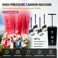 Canon à Confettis Électronique TNT à Télécommande pour Baby Shower, Machine à Poudre Bleue et Rose, Effet Feux d'Artifice, Révélation du Sexe, Accessoire de Fête Fumigène