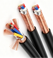 Kabel Kontrol Fleksibel OEM Manufacturer RVVP 300 500V Tahan Api Inti Tembaga Bebas Oksigen Berlapis Pelindung untuk Pembangkit Listrik