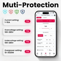 Interruptor de Circuito Inteligente con Protección Contra Sobretensión/Subtensión, Reenganche Manual/Automático, Relé de 2 Polos