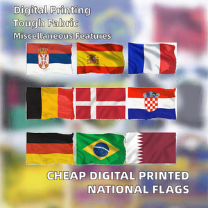 Banderas Nacionales de Poliéster con Impresión Digital, Estilo Gallardete, Económicas, para Usuarios Finales de Seguros - Product Image 2