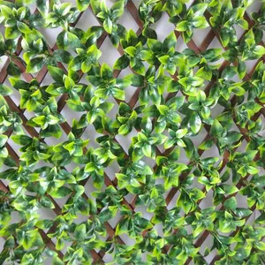 Hàng Rào Lưới Liễu Có Thể Mở Rộng Lưới Mắt Cáo Vườn Cây Lá Xanh Hàng Rào Lưới Mắt Cáo Trang Trí Ngoài Trời - Product Image 1