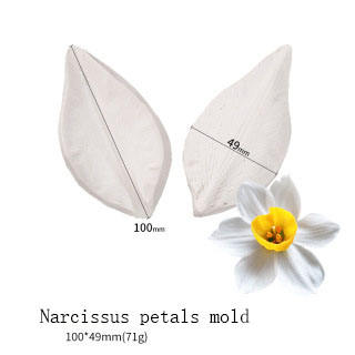 D5009-6 Narcisse pétales moule