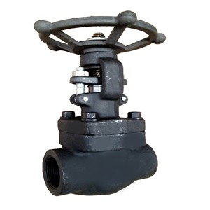 Porte en acier premium 25MM à souder par emboîtement 800 #   Siège en Stellite ASTM A182 F11 pour applications pétrochimiques - Product Image 2