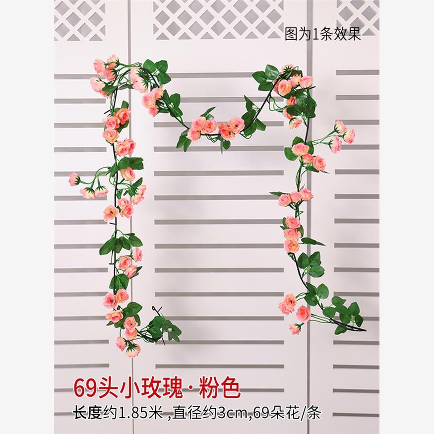 [Rose 1] Vigne rose à 69 têtes