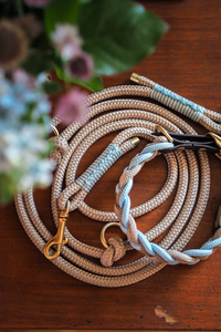 Umwelt freundliches 10mm Baumwoll seil Paracord Geflochtenes Hunde halsband mit personal isiertem Tau leinen set aus Leder und Polyester - Product Image 4