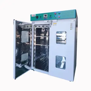 Camera di vuoto riscaldata climatica ambientale/temperatura e pressione in una camera di prova della camera di vuoto