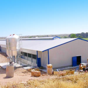 Atelier en structure métallique pour <span class=keywords><strong>abattoir</strong></span> avicole en Arabie Saoudite, emplacement du projet - Product Image 5