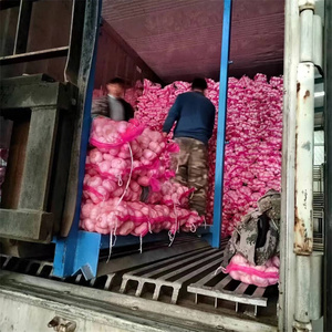 g1大蒜种子中国大蒜供应商，价格便宜的生大蒜出售 - Product Image 5