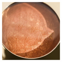 Marque privée Poudre végétalienne Surligneur Multicolore Mat Peau Corps Contouring Crème solaire Enrichi à base de minéraux Fairy Shimmer
