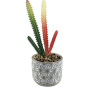 Fabricant de pots de fleurs de qualité, pots pour plantes vertes, plantes succulentes artificielles en ciment avec un joli pot de fleurs