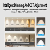 Spot encastré LED DALI dimmable étanche IP65, orientable, pour plafond, lumière chaude 3000K, idéal salle de bain et sauna