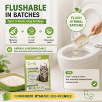 Litière pour chat à base de manioc, écologique, végétale, sans poussière, biodégradable, anti-odeurs, hautement absorbante, à agglomération rapide