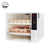 Mini couveuse automatique pour 60 œufs, machine économique en énergie, de haute qualité