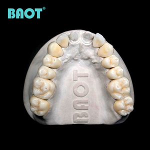BAOT PFM Basic Kit tecnico utilizzato materiale dentale cinese laboratorio dentale polvere ceramica BAOT ceramica dentale