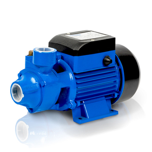 Pompe à eau périphérique ELESTAR QB-60 0.5HP OEM en acier inoxydable et laiton, certifiée ROHS, petit modèle portatif, IP44, à bas prix - Product Image 2