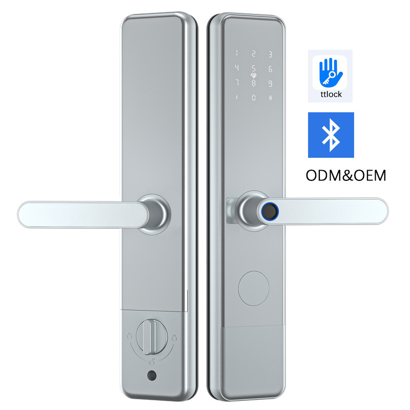 TTlock argenté