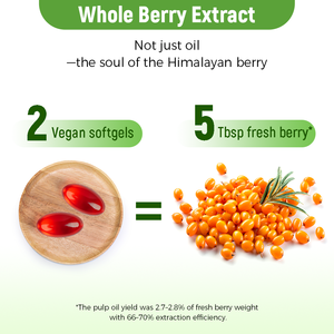 Cápsulas de Aceite de Espino Amarillo Orgánico Laicuherb, Suplemento Dietético Vegano para Adultos, Rico en Omega 7 y 9 para un Apoyo Equilibrado de Ácidos Grasos - Product Image 3