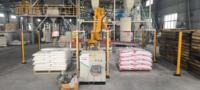 SAIBOTO Robot de manutention haute performance pour l'empilage, fabriqué à Jiangsu, 18KW 380V, 600-800 sacs/heure