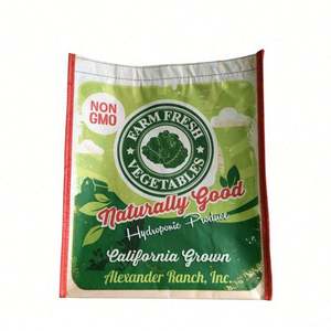 Bsci Audit Pas Cher Personnalisé Prix Raisonnable Sacs Réutilisables - Product Image 4