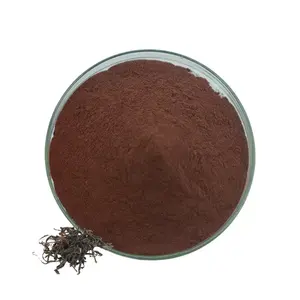 नि: शुल्क नमूने पानी में घुलनशील तत्काल काली चाय पाउडर चाय polyphenols theaflavin 40% canmelia sinensis काली चाय निकालने